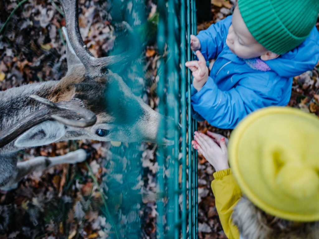 Dortmund mit Kindern |  Ausflugstipp für die Ganze Familie: Wildgehege Grutholz